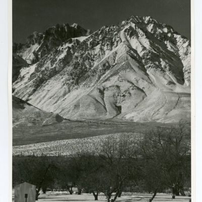 Print, Photographic