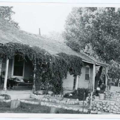 Print, Photographic