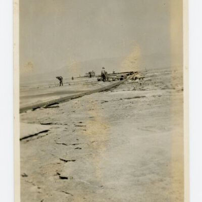 Print, Photographic