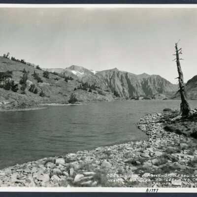 Print, Photographic