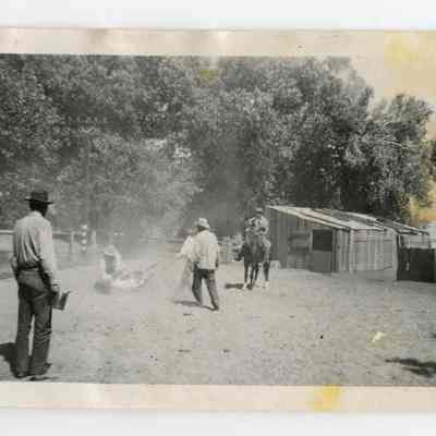 Print, Photographic