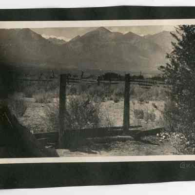 Print, Photographic