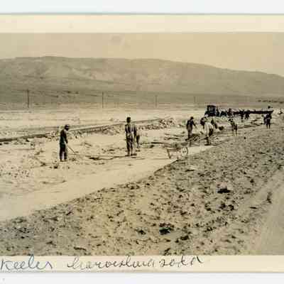 Print, Photographic
