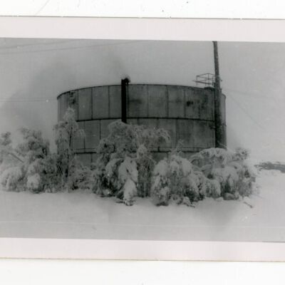 Print, Photographic