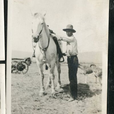 Print, Photographic
