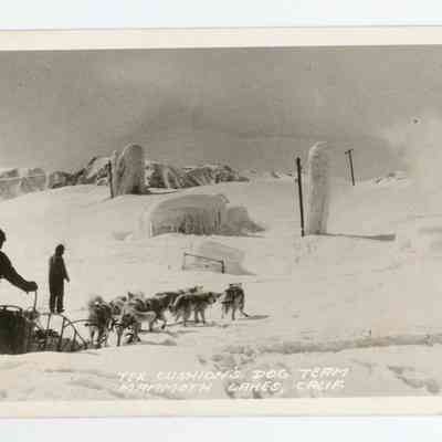 Tex Cushion's Dog Team, Mammoth Lakes, Calif.