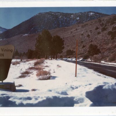 Print, Photographic