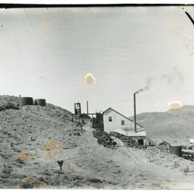 Print, Photographic