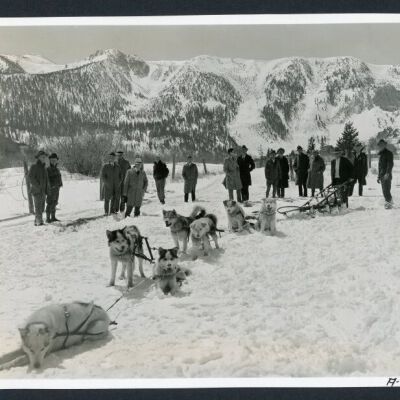 Print, Photographic