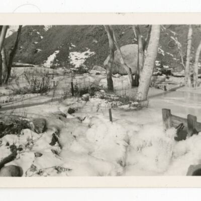 Print, Photographic