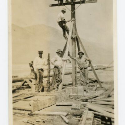 Print, Photographic