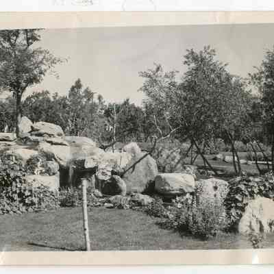 Print, Photographic