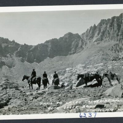 Print, Photographic