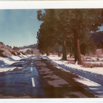Print, Photographic