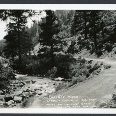 Print, Photographic