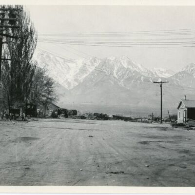 Print, Photographic
