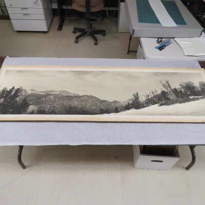 Print, Photographic