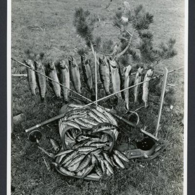 Print, Photographic