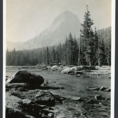 Print, Photographic