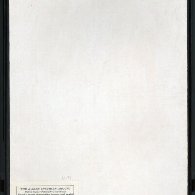 Resolution: 100 dpi