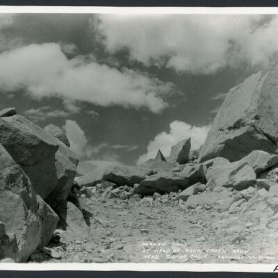 Print, Photographic