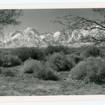 Print, Photographic