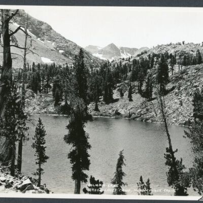 Print, Photographic