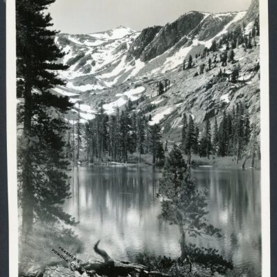 Print, Photographic