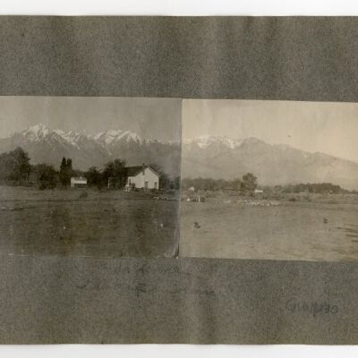 Print, Photographic