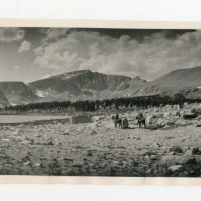 Print, Photographic