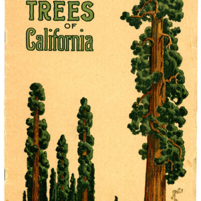 Big Trees of California