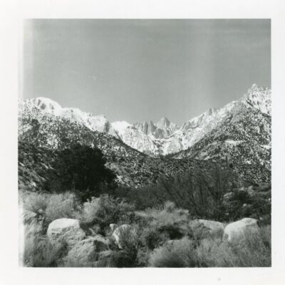 Print, Photographic