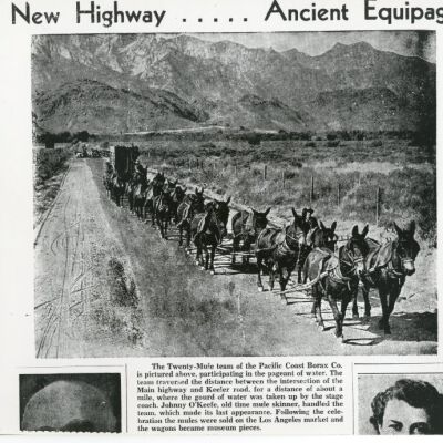 Twenty-Mule Team