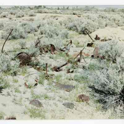 Print, Photographic