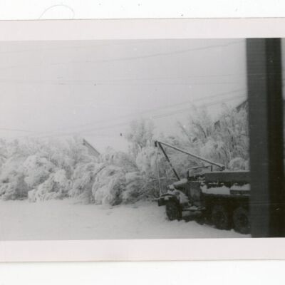 Print, Photographic