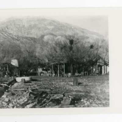 Print, Photographic