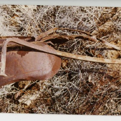 Print, Photographic