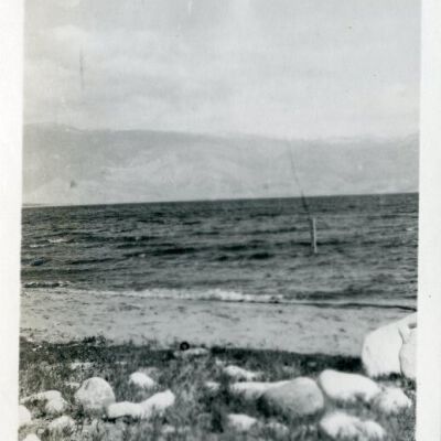 Print, Photographic