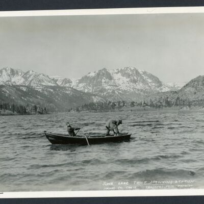 Print, Photographic