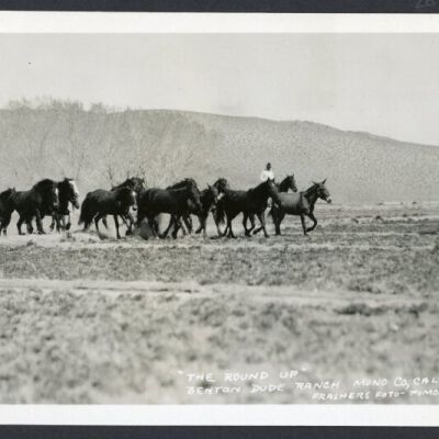 Print, Photographic