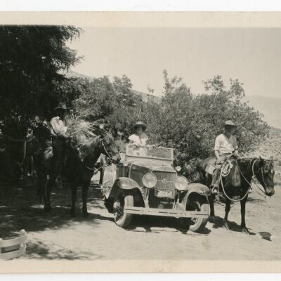 Print, Photographic