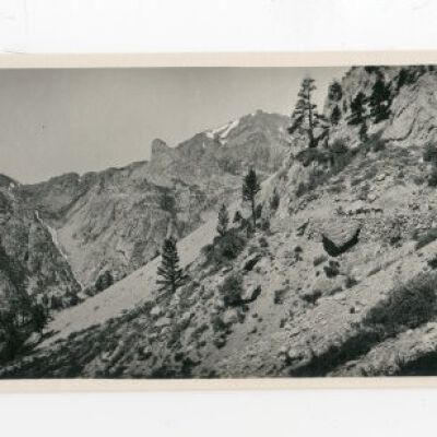 Print, Photographic