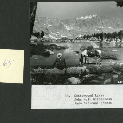 Print, Photographic