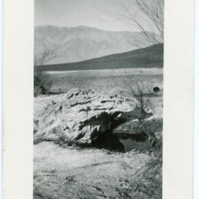 Print, Photographic