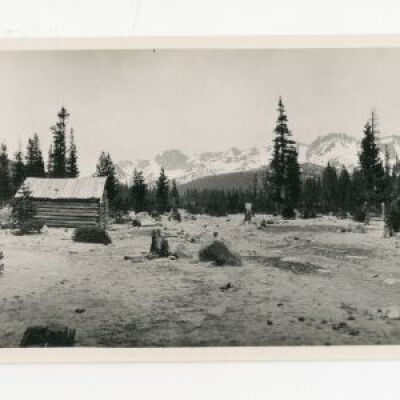 Print, Photographic