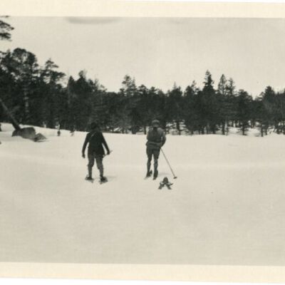 Print, Photographic