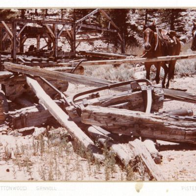 Cottonwood Sawmill