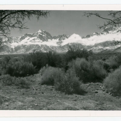 Print, Photographic