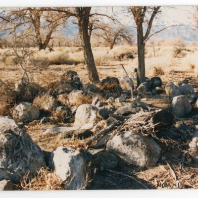 Print, Photographic