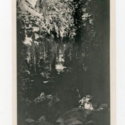 Print, Photographic